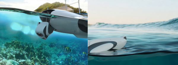 水上ドローン「PowerDolphin ウィザード」の国内取り扱いが開始　価格は約11万円