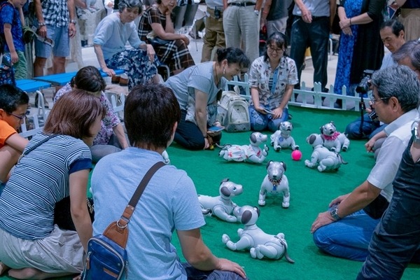 次回の「aiboファンミーティング」は6月22日、名古屋で開催　参加受付は本日開始