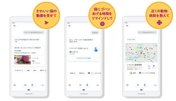 キャットフードの「カルカン」が子猫育て「育ニャンナビ」をリリース、Googleアシスタント対応で手軽かつ便利に情報を入手可能