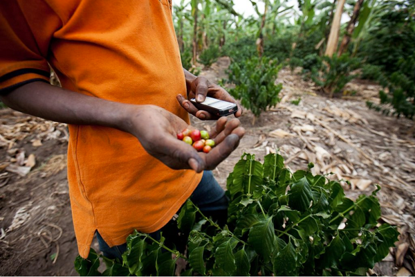 スターバックスがMicrosoft Azureを活用した「強化学習」や「IoTによるトラブル予測」「ブロックチェーン」を導入