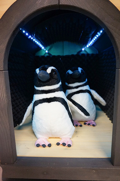 「ペンギンの寿命は?」須磨海浜水族園が可愛いペンギン型AI解説システムを実験展示　羽をパタパタ、質問にはAIが自動回答