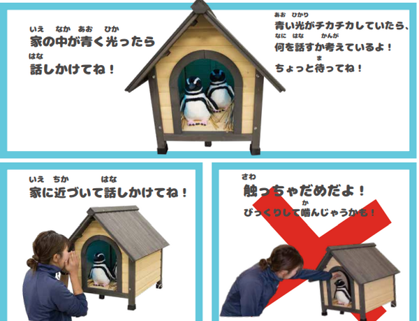 「ペンギンの寿命は?」須磨海浜水族園が可愛いペンギン型AI解説システムを実験展示　羽をパタパタ、質問にはAIが自動回答