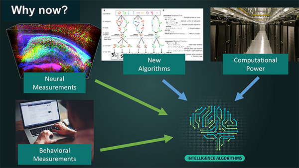 MIT–IBM Watson AIラボが最新研究の一部を発表　次のAI「Broad AI」とはなにか?