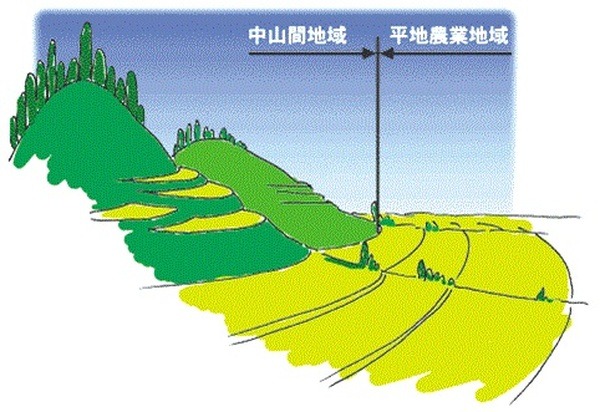 傾斜部をヤマハ発の自動運転車が毎日運行　自動運転サービスの事業化に向けた実証実験　茨城県常陸太田市で