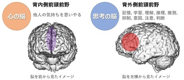 脳活動センサーとスマホアプリ「BrainMeter」発売、脳活動を手軽に測定！脳トレの川島教授と日立HTの技術を結集