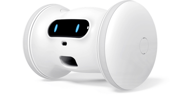 自律走行するペット用スマートロボット「VARRAM PET FITNESS」発売！ロボットが犬猫ペットの遊び相手をしてくれる