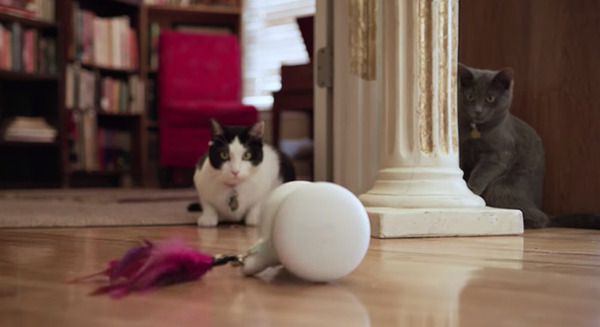 自律走行するペット用スマートロボット「VARRAM PET FITNESS」発売！ロボットが犬猫ペットの遊び相手をしてくれる