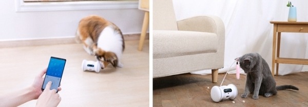 自律走行するペット用スマートロボット「VARRAM PET FITNESS」発売！ロボットが犬猫ペットの遊び相手をしてくれる