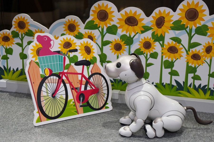 aiboのそばで朗読すると色んな反応をしてくれる！aiboの絵本「ミキちゃんとコタローの‥」8/26に発売