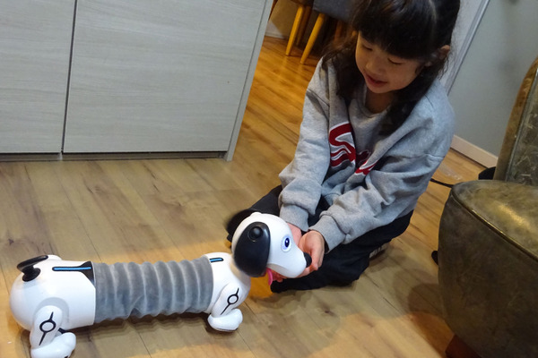 飼い主の後ろをついてくる不思議な犬型ロボットトイ「おいでよ ボンゴ！」アコーディオンのように伸び縮み