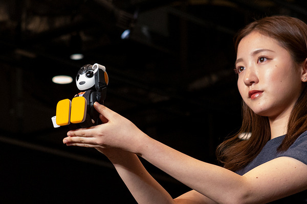 【ロボコレ2019 写真レポート(2)】サプライズゲストがランウェイに！RoBoHoN、Pepper、ビッグクラッピーなど登場