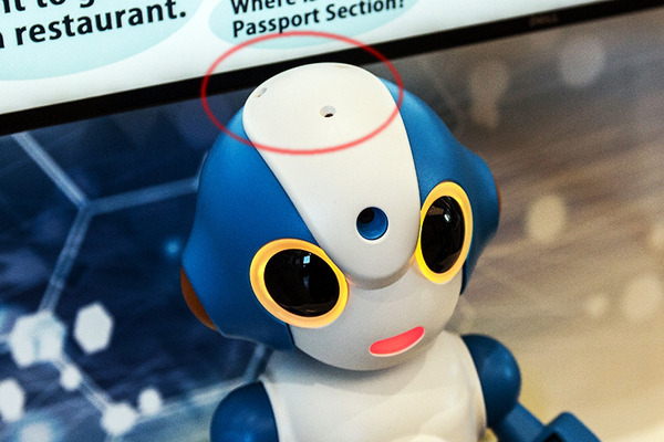 受付や観光、商品紹介やメニューを多言語でロボット「Sota」がご案内　最新の会話技術を搭載したNTTテクノクロスの「AMARYLLIS」(アマリリス)