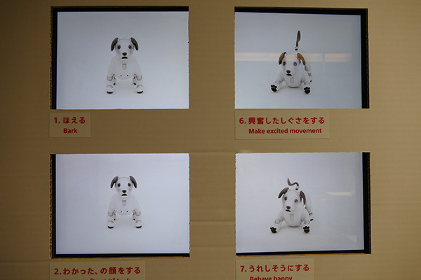 誰でもaiboの動きを自由にプログラミングできるように aibo APIが一般公開