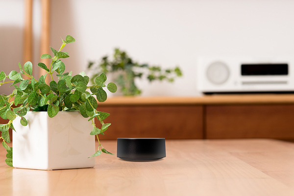 完全ワイヤレスイヤホンで音声アシスタントと会話する方法　ドコモ「my daiz」(マイデイズ)に対応した「1MORE」イヤホンの性能と使い勝手