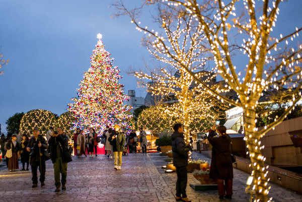 GROOVE Xの「LOVOT」と一夜を共にする高級スイート宿泊プランを体験してきた！ #WestinTokyo #LOVOTとの暮らし