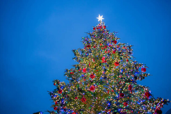 GROOVE Xの「LOVOT」と一夜を共にする高級スイート宿泊プランを体験してきた！ #WestinTokyo #LOVOTとの暮らし