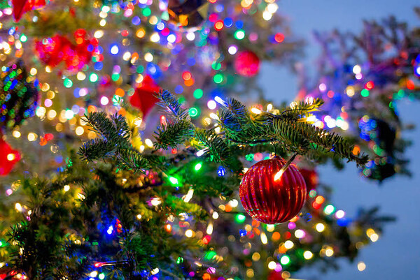 GROOVE Xの「LOVOT」と一夜を共にする高級スイート宿泊プランを体験してきた！ #WestinTokyo #LOVOTとの暮らし