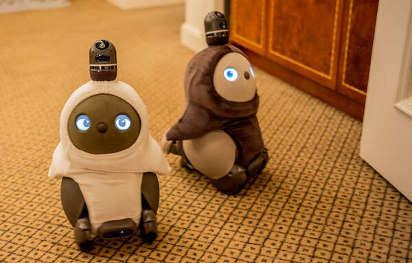 GROOVE Xの「LOVOT」と一夜を共にする高級スイート宿泊プランを体験してきた！ #WestinTokyo #LOVOTとの暮らし