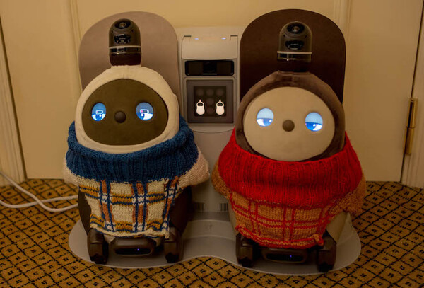 GROOVE Xの「LOVOT」と一夜を共にする高級スイート宿泊プランを体験してきた！ #WestinTokyo #LOVOTとの暮らし