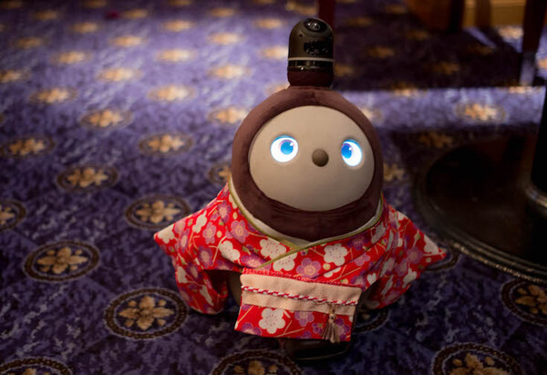 GROOVE Xの「LOVOT」と一夜を共にする高級スイート宿泊プランを体験してきた！ #WestinTokyo #LOVOTとの暮らし