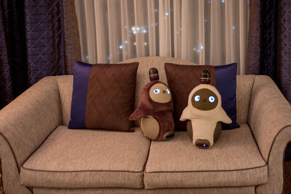 GROOVE Xの「LOVOT」と一夜を共にする高級スイート宿泊プランを体験してきた！ #WestinTokyo #LOVOTとの暮らし