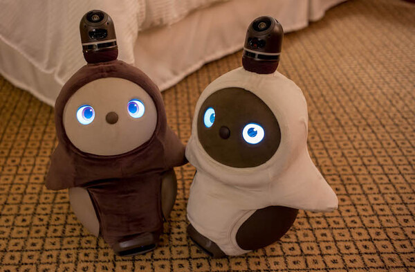 GROOVE Xの「LOVOT」と一夜を共にする高級スイート宿泊プランを体験してきた！ #WestinTokyo #LOVOTとの暮らし