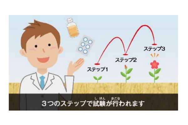 日本イーライリリーが会話ロボット「Tapia」(タピア)で小児患者が治験に参加しやすい環境づくり　6医療機関で実施へ