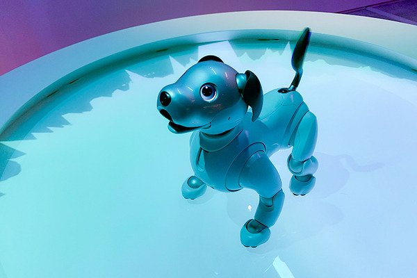 銀座ソニーパークでaiboに会ってきた！ロボットの進化とインタラクションが体感できる楽しいイベント　Xperia Hello!もいたよ