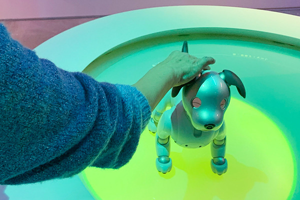 銀座ソニーパークでaiboに会ってきた！ロボットの進化とインタラクションが体感できる楽しいイベント　Xperia Hello!もいたよ