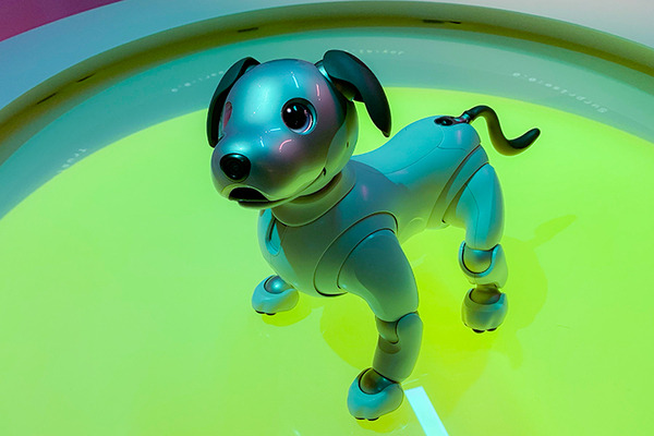 銀座ソニーパークでaiboに会ってきた！ロボットの進化とインタラクションが体感できる楽しいイベント　Xperia Hello!もいたよ