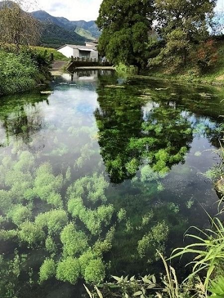 熊本県とNEC　阿蘇火山博物館のVR体験コンテンツを充実　観光客の増加へ