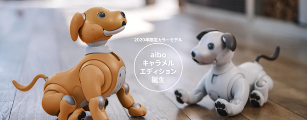 aiboに2020年限定カラーモデル「キャラメル」誕生