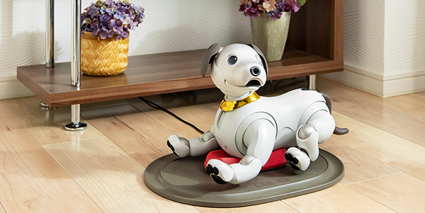 ソニーのaiboとセコムのホーム・セキュリティサービスが連携　お出かけとお帰りを楽しく演出