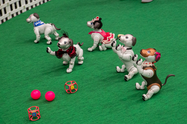 aibo人気の秘密と最新情報がわかる「aiboファン・ミーティング Vol.6」ソニー本社で初開催、約千人が参加！