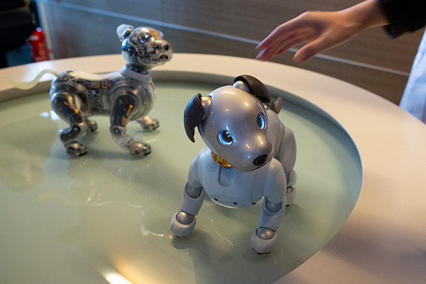 aibo人気の秘密と最新情報がわかる「aiboファン・ミーティング Vol.6」ソニー本社で初開催、約千人が参加！