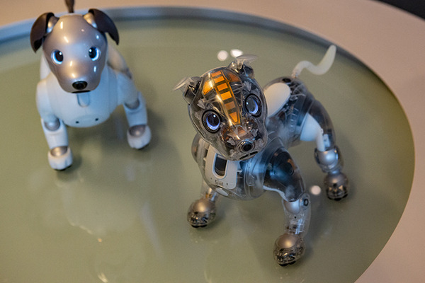 aibo人気の秘密と最新情報がわかる「aiboファン・ミーティング Vol.6」ソニー本社で初開催、約千人が参加！