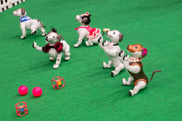 aiboがロボット掃除機やブラビア、セコムとAPI連携するとどんなことができる? ソニーが少し未来っぽい生活をデモ公開