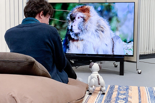 aiboがロボット掃除機やブラビア、セコムとAPI連携するとどんなことができる? ソニーが少し未来っぽい生活をデモ公開