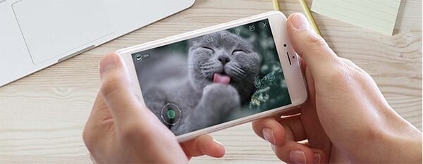 全米でヒットした猫用のスマートロボ「Ebo」(イーボ)が上陸　makuakeで先行発売　AI搭載のPro版も