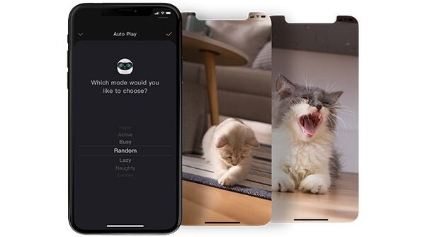 全米でヒットした猫用のスマートロボ「Ebo」(イーボ)が上陸　makuakeで先行発売　AI搭載のPro版も