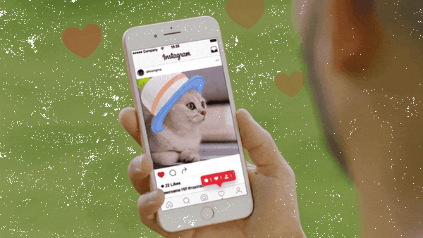 全米でヒットした猫用のスマートロボ「Ebo」(イーボ)が上陸　makuakeで先行発売　AI搭載のPro版も