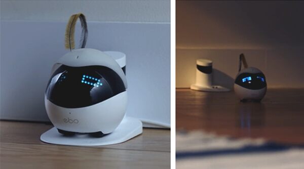 全米でヒットした猫用のスマートロボ「Ebo」(イーボ)が上陸　makuakeで先行発売　AI搭載のPro版も
