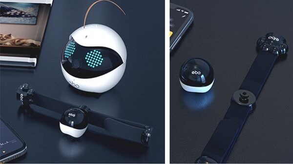 全米でヒットした猫用のスマートロボ「Ebo」(イーボ)が上陸　makuakeで先行発売　AI搭載のPro版も