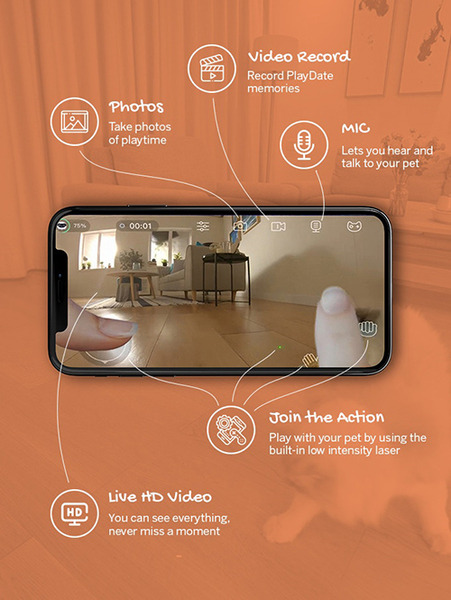 全米でヒットした猫用のスマートロボ「Ebo」(イーボ)が上陸　makuakeで先行発売　AI搭載のPro版も