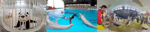 新型コロナ対策で遊びに行けない障害支援施設の子供達へVR動物園を配信　ジョリーグッドとアドベンチャーワールドが無償提供