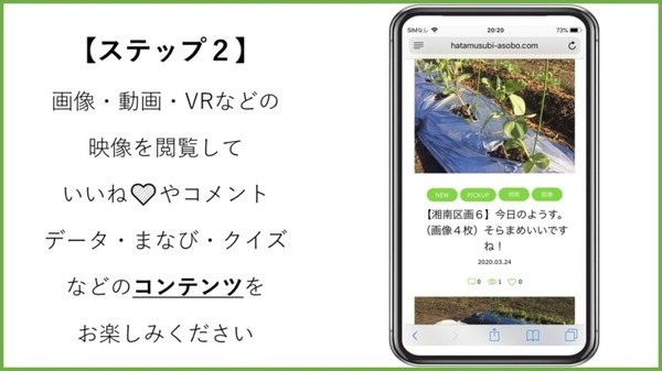 AIとIoTを活用してスマホで農園の様子をチェック　自宅と畑をアプリでつなぐ「ハタムスビ」と「スマート体験農園システム」