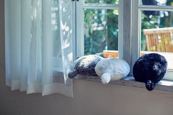 ユカイ工学の小さなしっぽロボット「Petit Qoobo」(プチ・クーボ)がクラウドファンディングで1000%達成　支援者数は500人超え