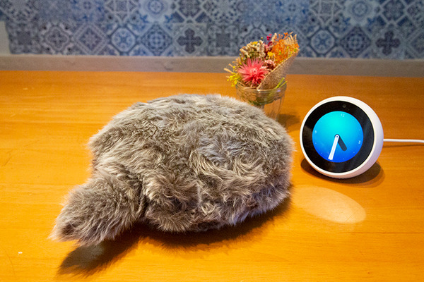 「Petit Qoobo」(プチ・クーボ)が我が家にやってきた　小さな鼓動を感じる生命感！「Alexaと即興コラボ」してみた【レビュー】