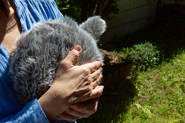 「Petit Qoobo」(プチ・クーボ)が我が家にやってきた　小さな鼓動を感じる生命感！「Alexaと即興コラボ」してみた【レビュー】