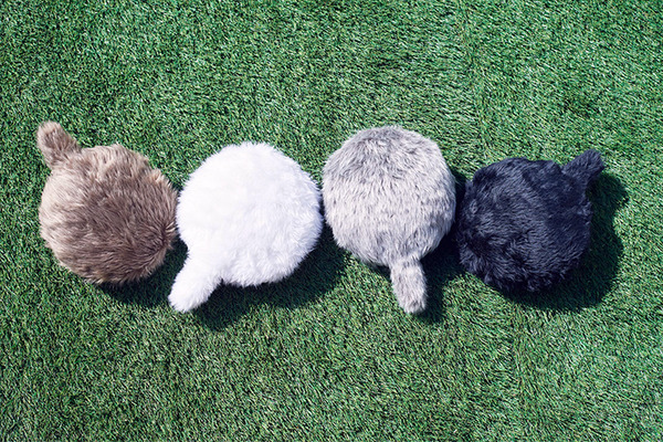 「Petit Qoobo」(プチ・クーボ)が我が家にやってきた　小さな鼓動を感じる生命感！「Alexaと即興コラボ」してみた【レビュー】